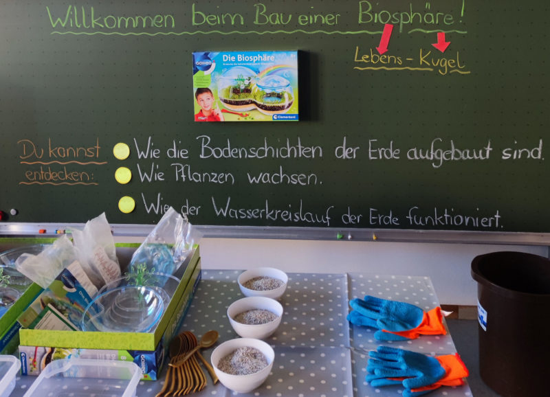 6 Biosphäre